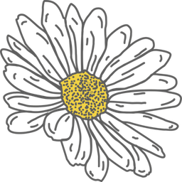 Daisy Connections